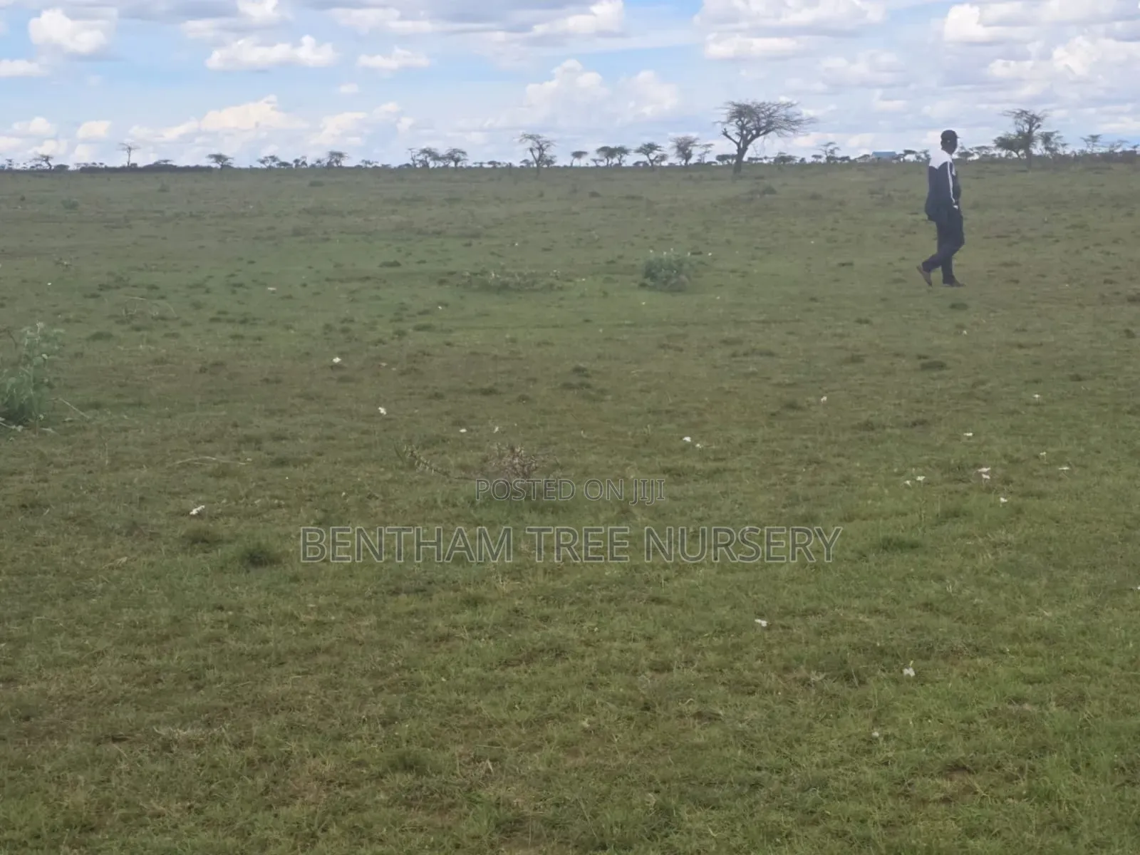Land on Sale in Acres