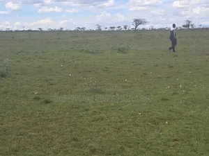 Land on Sale in Acres