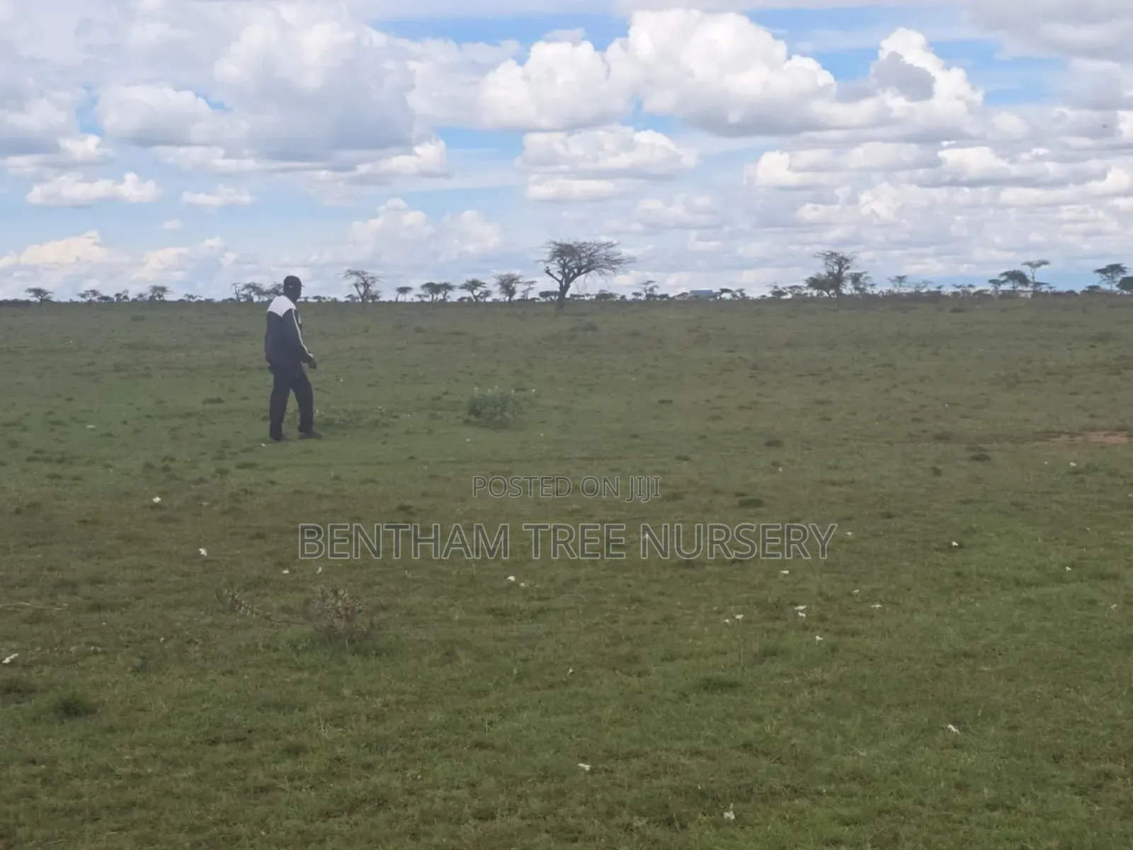 Land on Sale in Acres