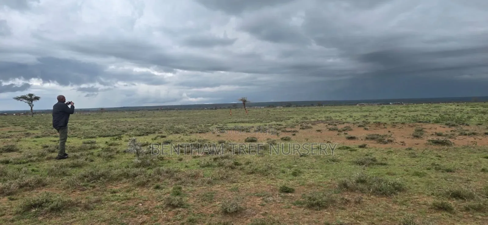 Land on Sale in Acres