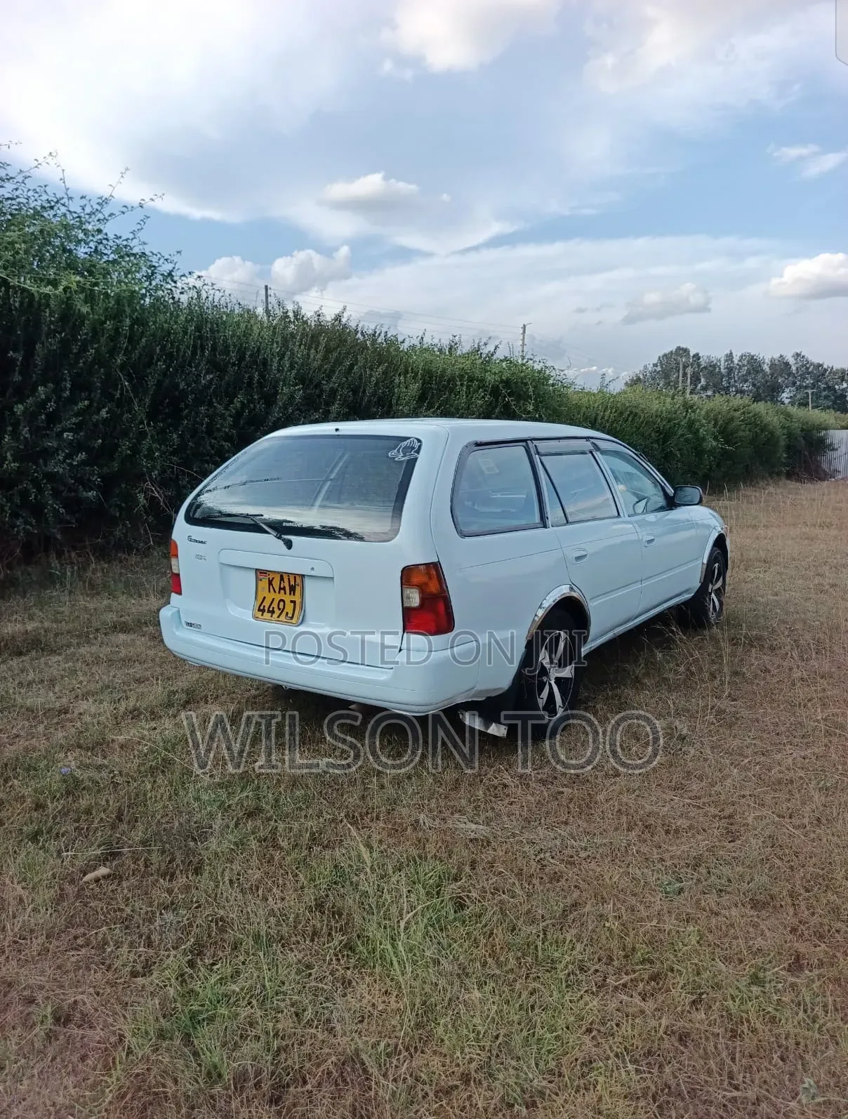 Toyota Corolla 2001 White