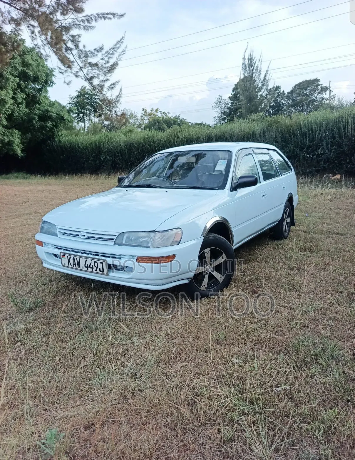Toyota Corolla 2001 White