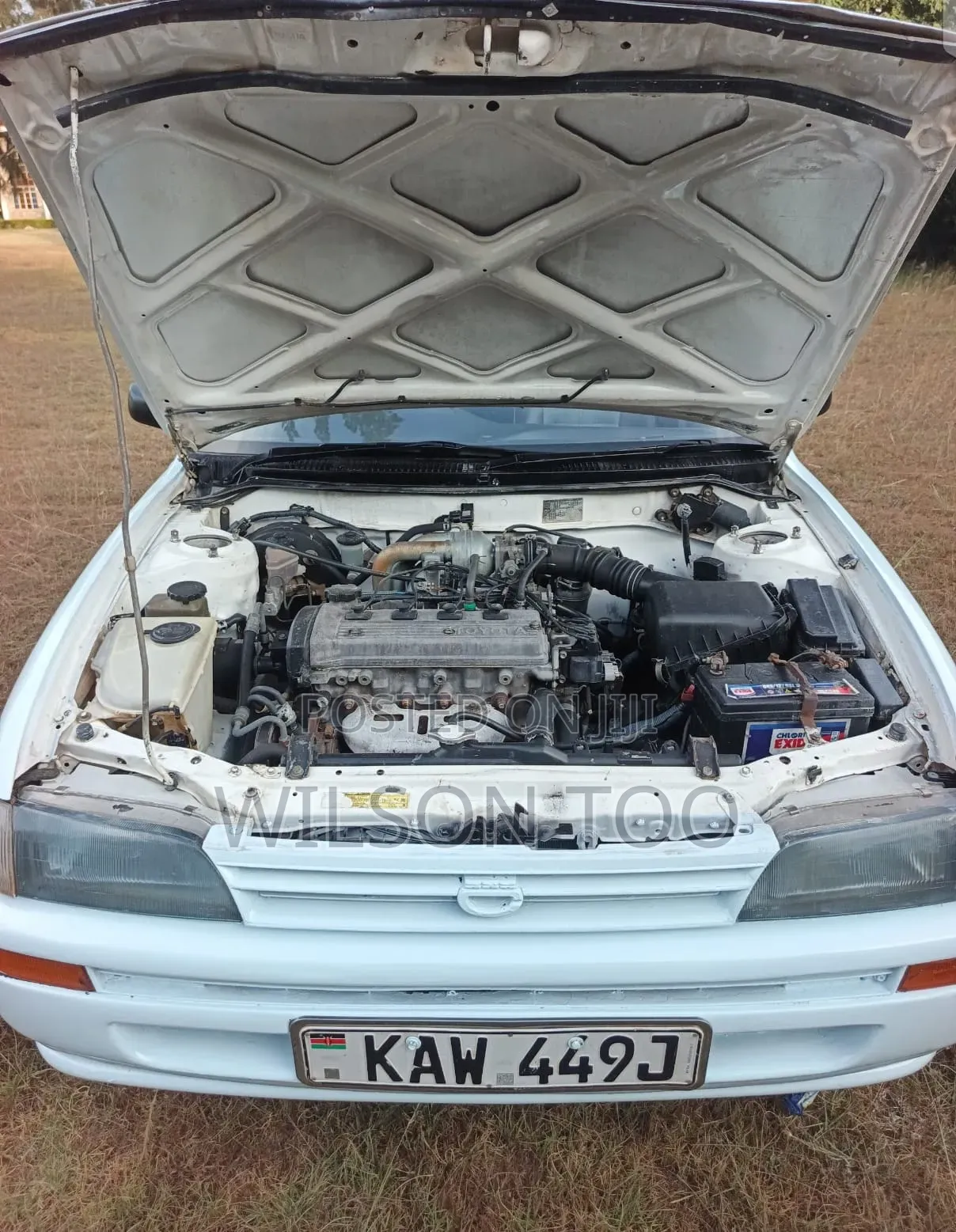 Toyota Corolla 2001 White