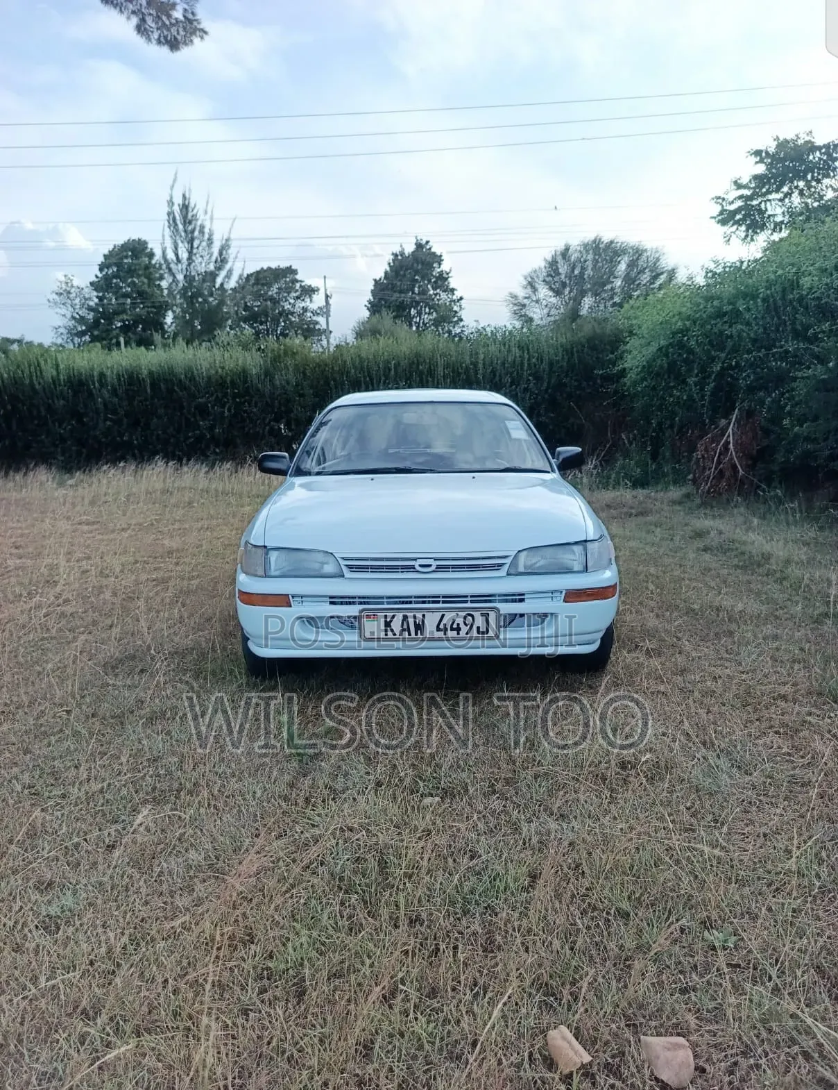 Toyota Corolla 2001 White
