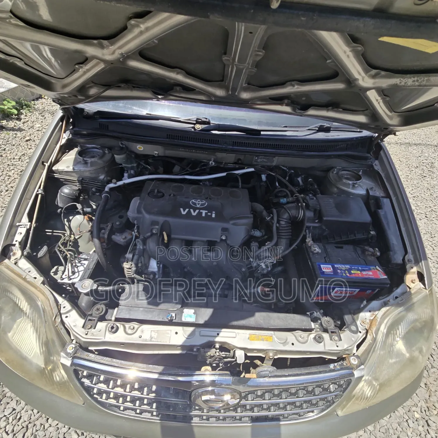 Toyota Corolla 2004 Gold