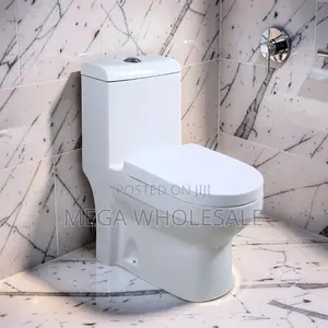 Factory Prices Ceramic Sawa One Piece Dual Flush Toilet Seats