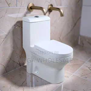 Factory Prices Hygienic Sawa One Piece Dual Flush Toilet Seats