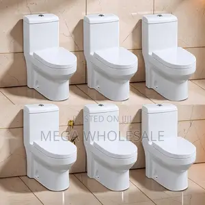 Factory Prices Quick Release Sawa One Piece Dual Flush Toilet Seats