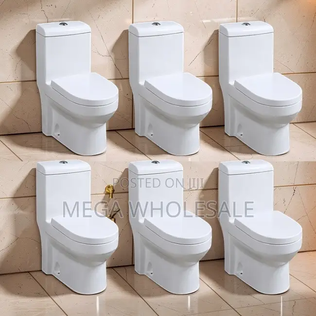 Factory Prices Quick Release Sawa One Piece Dual Flush Toilet Seats