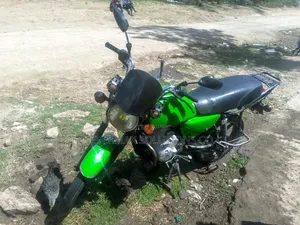Sonlink SL150-KD 2019 Green