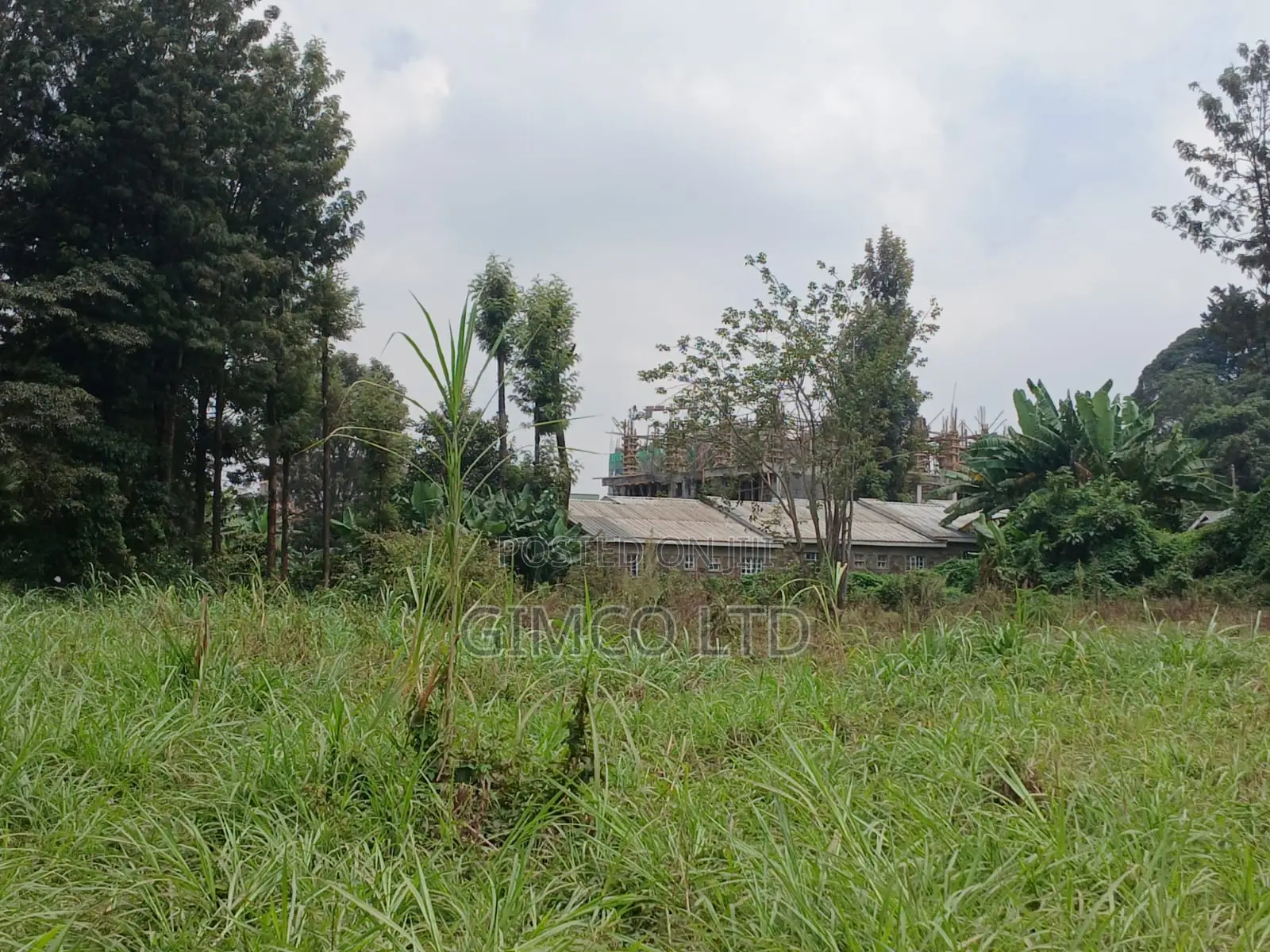Land for Sell in Kabete
