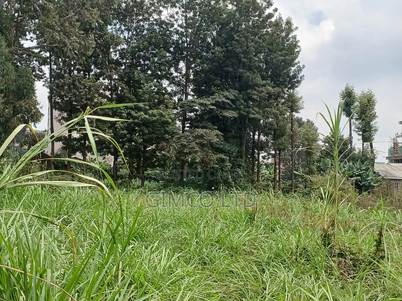 Land for Sell in Kabete