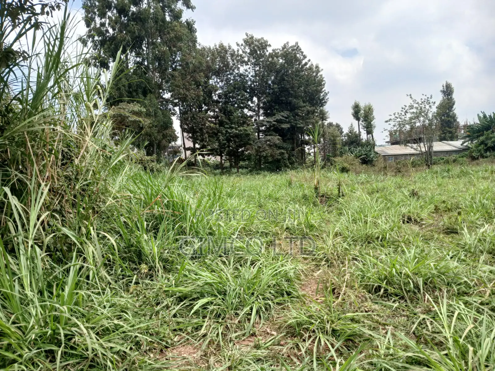Land for Sell in Kabete