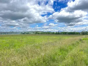Plot for Sale: Nyeri Kamuyu Village 1/8Acre Plot
