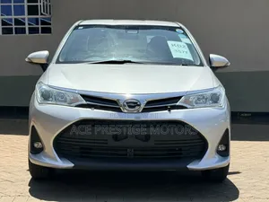 Toyota Axio 2019 Silver