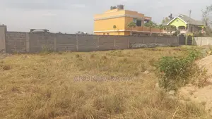 Land Sold by the Owner Direct and Has Title. Land Size 40x60