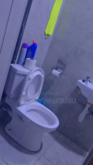 Furnished Studio - Roysambu TRM Drive - 2000/Night - WiFi + Netflix