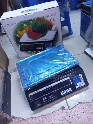 30kg Digital Price Computing Scale