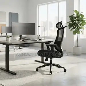 Office Chairs; Ergonomic Executive High Back Star Base Chair