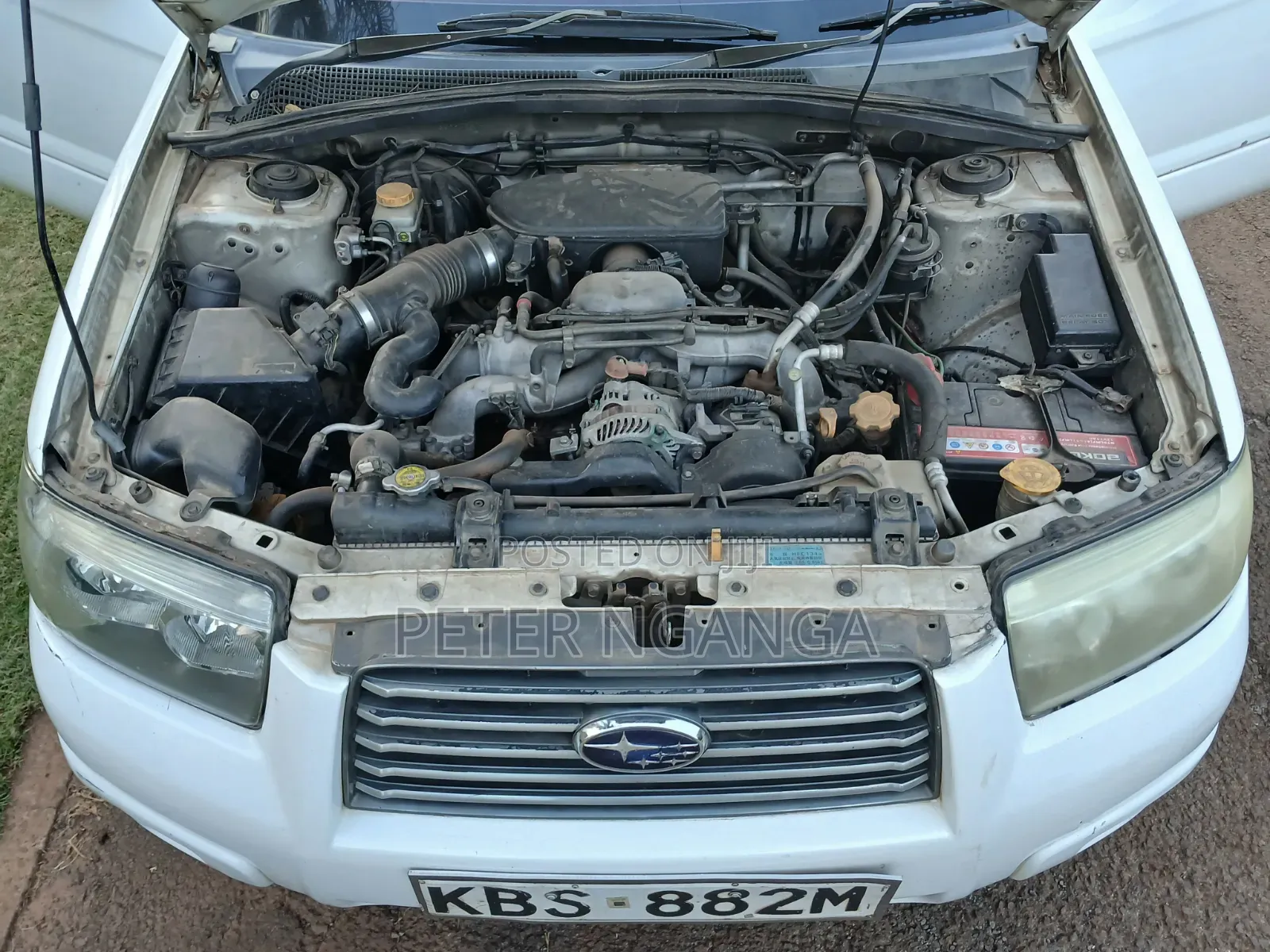 Subaru Forester 2005 White
