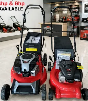 Briggs Straton Self-Propellled Commercial Lawn Mower 4Hp