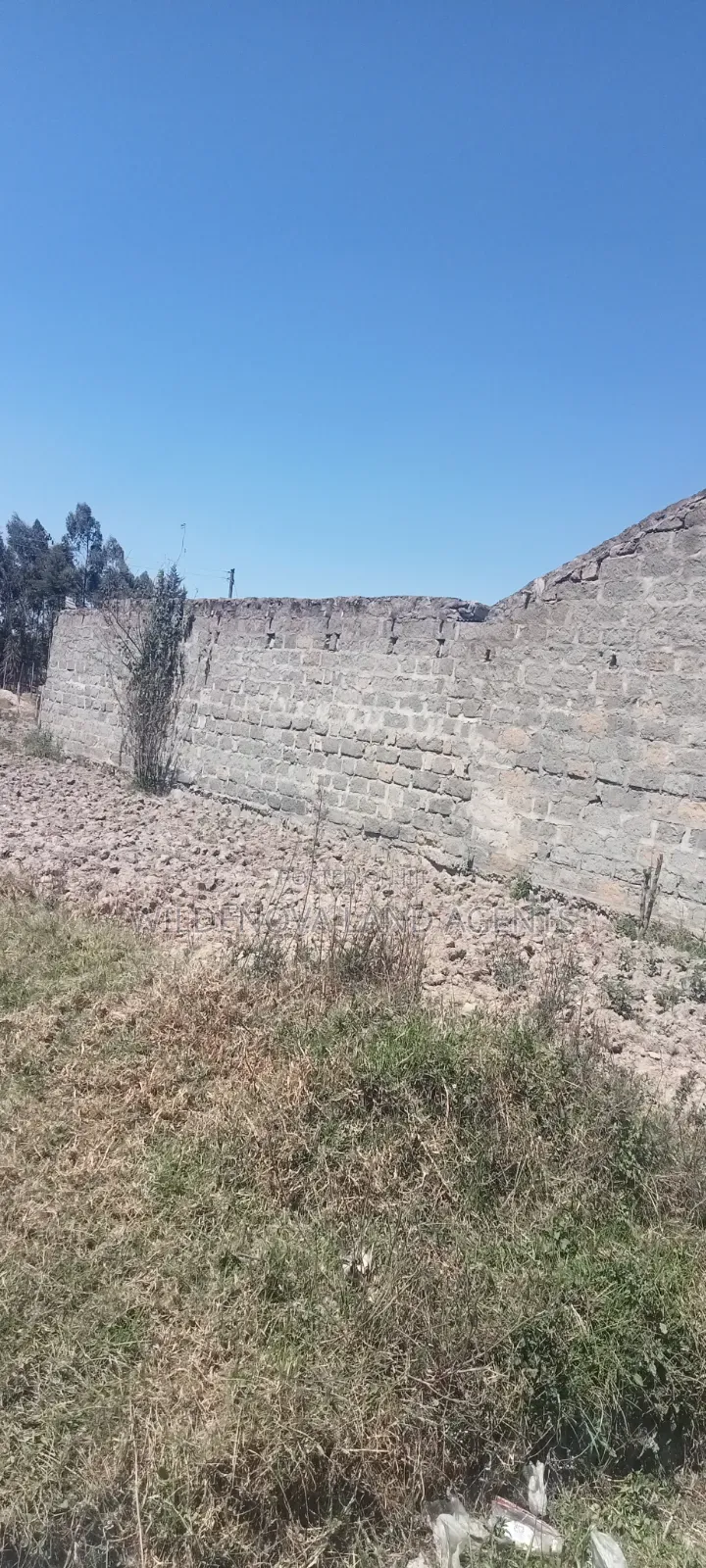Plot on Sale at Mtonyora Kinangop