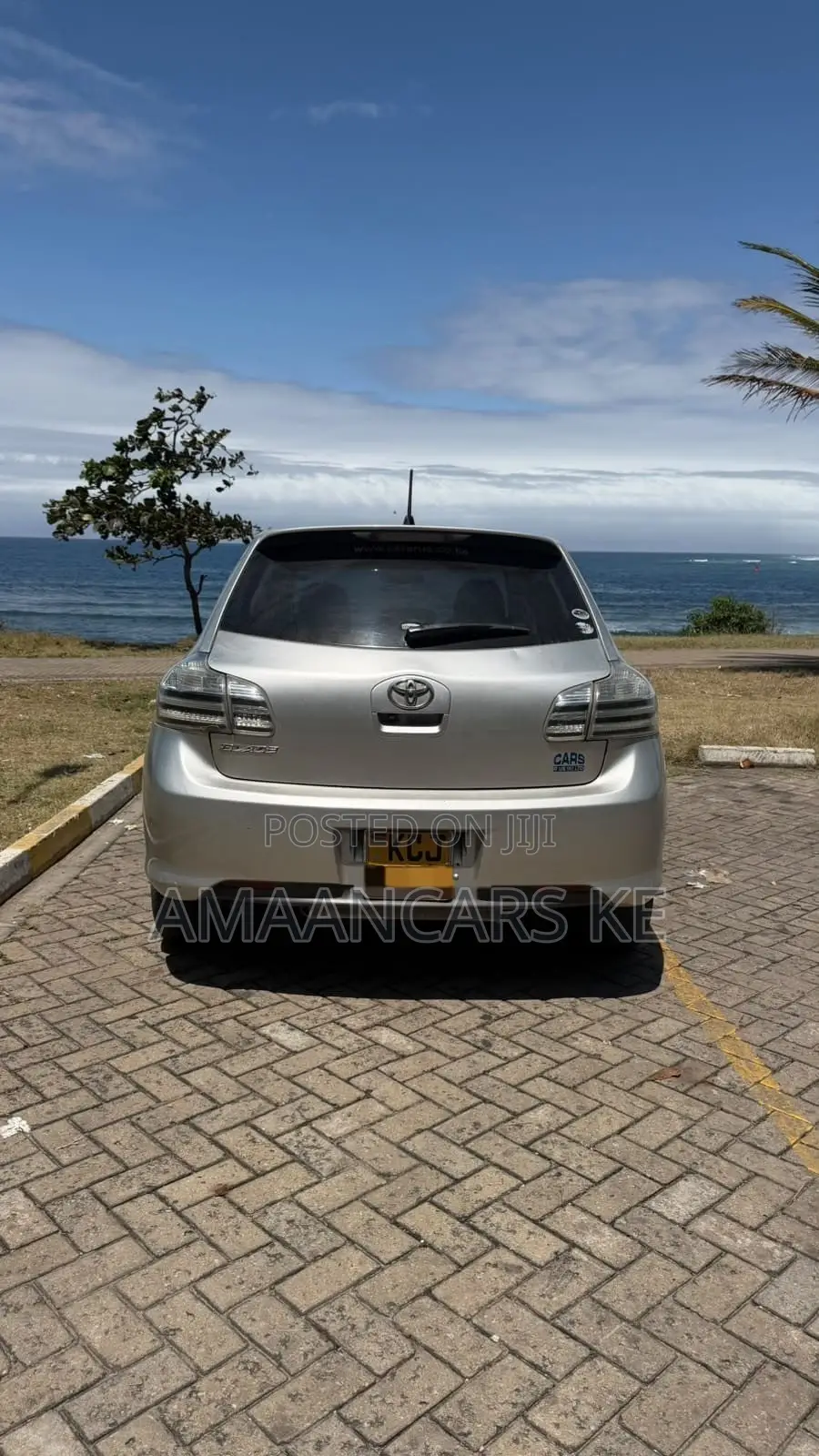 Toyota Blade 2009 Silver