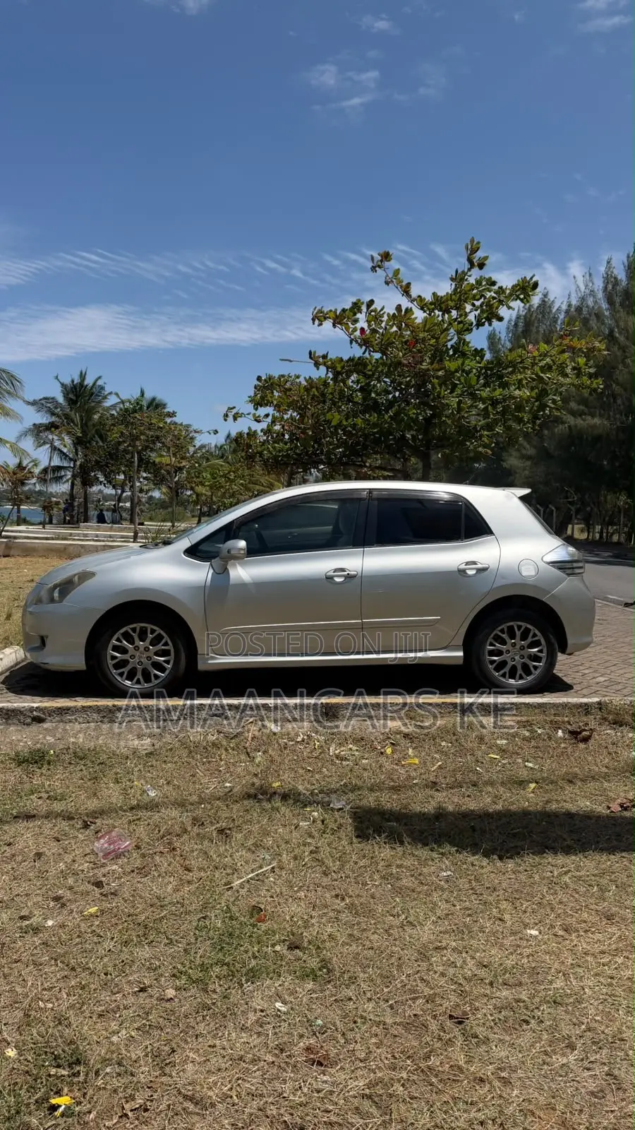 Toyota Blade 2009 Silver