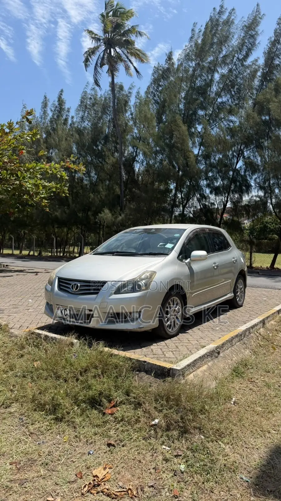 Toyota Blade 2009 Silver