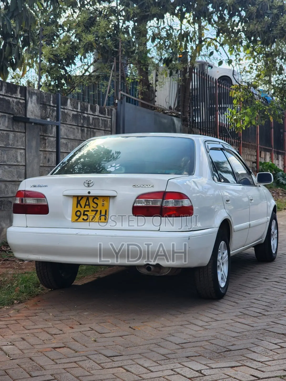 Toyota Corolla 2000 White