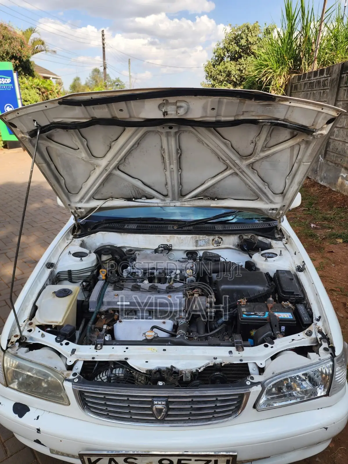 Toyota Corolla 2000 White