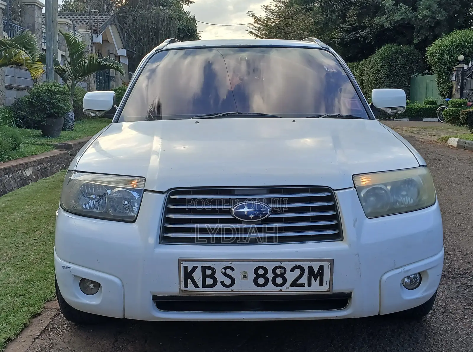 Subaru Forester 2006 White