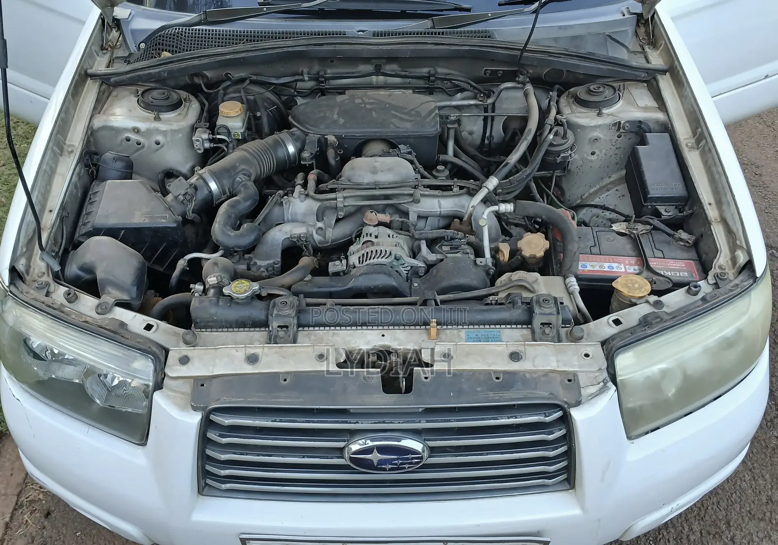 Subaru Forester 2006 White