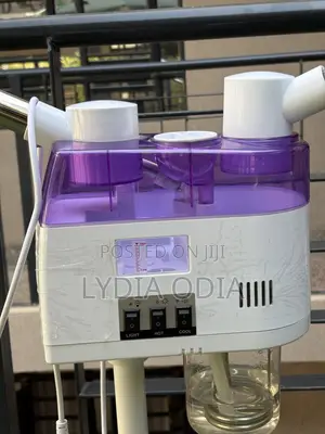 Hot Cold Facial Steamer