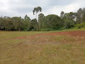 9 Acres Land With Boarding Secondary School for Sale in Gatundu