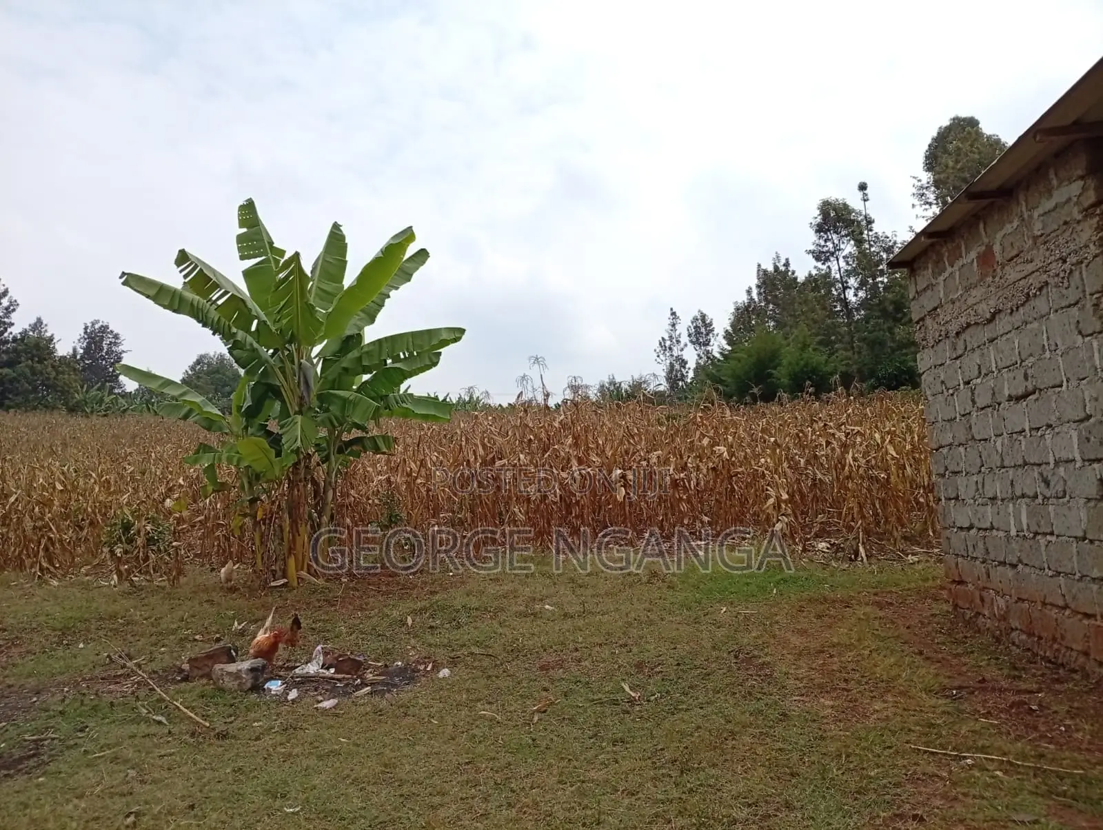 9 Acres Land With Boarding Secondary School for Sale in Gatundu