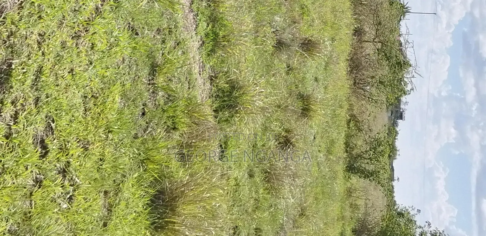 2 1⁄4 Acre Land for Sale in Muthaara, Witeithie, Juja