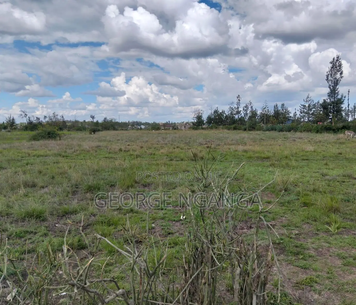 2 1⁄4 Acre Land for Sale in Muthaara, Witeithie, Juja