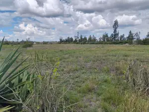 2 1⁄4 Acre Land for Sale in Muthaara, Witeithie, Juja