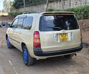 Toyota Succeed 2010 Gold