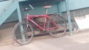 Bicycle Size 24
