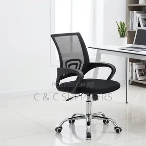 Mesh Low Back Swivel Desk Chair.