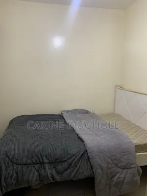Bed Frame+matress