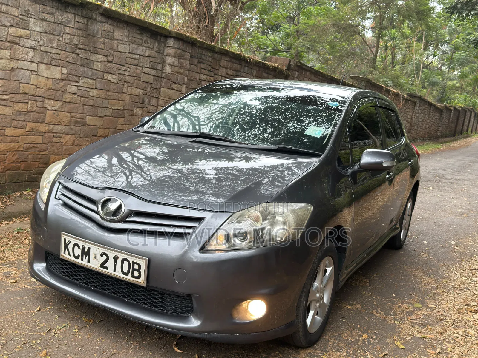 Toyota Auris 2010 Silver
