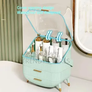 Dustproof Cosmetic Organizer