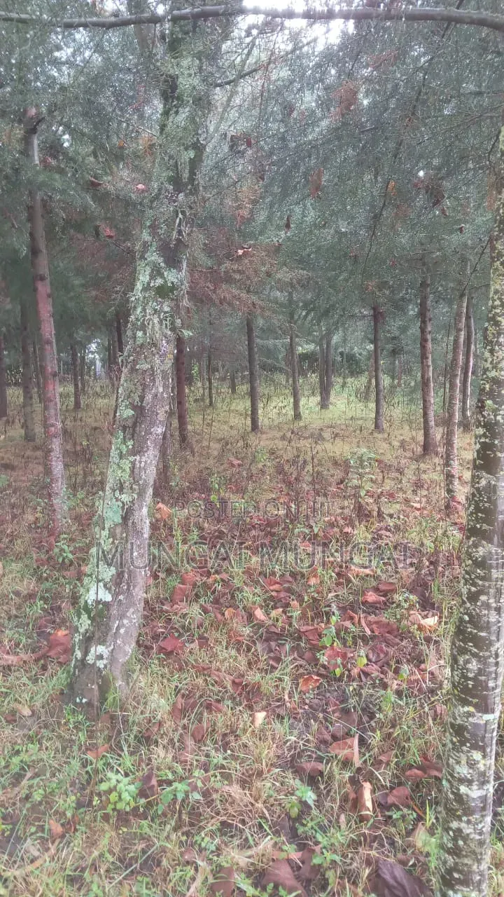 2 Acre Land Kinangop Njabini