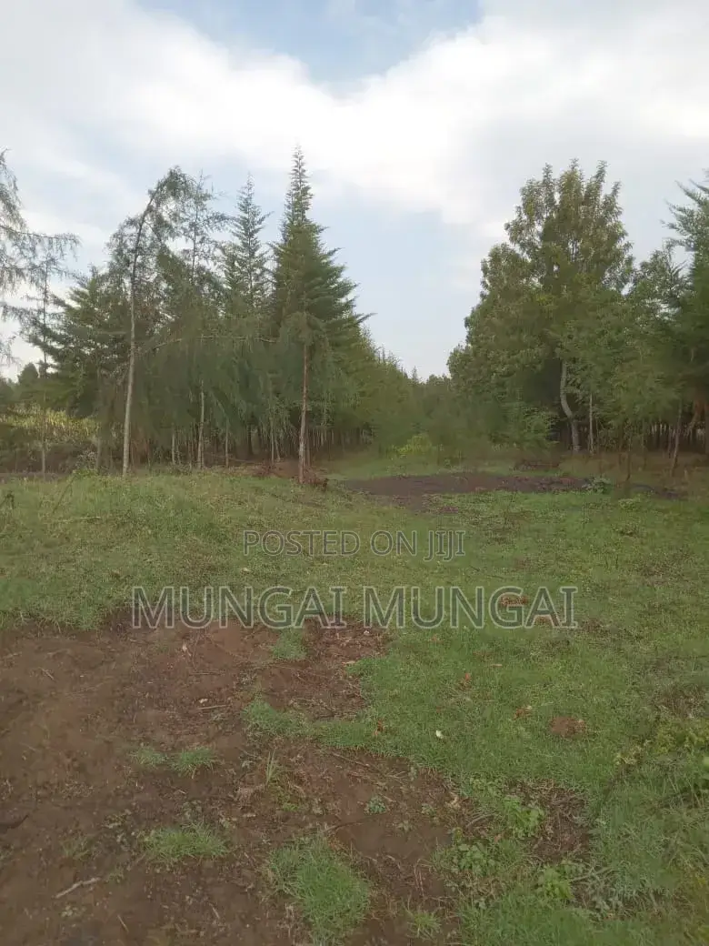 2 Acre Land Kinangop Njabini