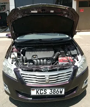 Toyota Premio 2011 Purple