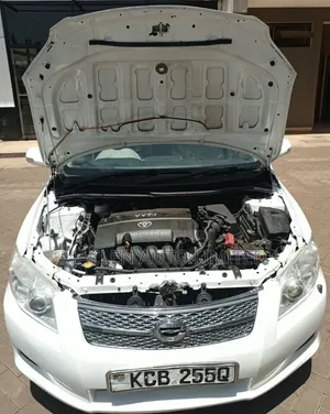 Toyota Corolla Fielder 2009 White