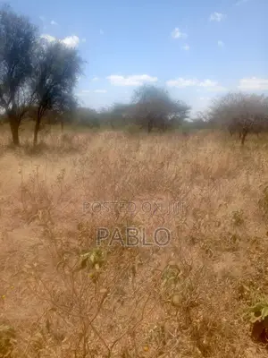Acre 390k Kajiado Central
